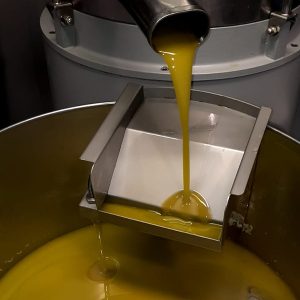 Raccolta e produzione dell’olio d’oliva_d