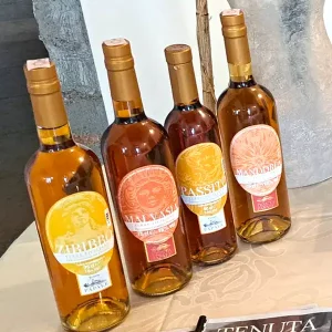 Passito IGP Terre Siciliane Tenuta Papale_c