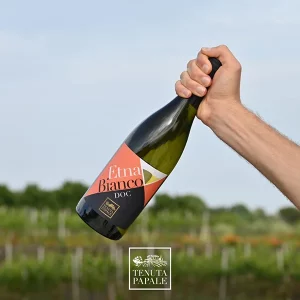 Vino bianco siciliano Etna Bianco DOC_b Tenuta Papale