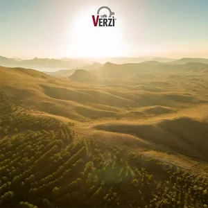 Verzì Caffè_a