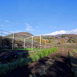 Campi vista Etna neve Galleria delle spezie_c
